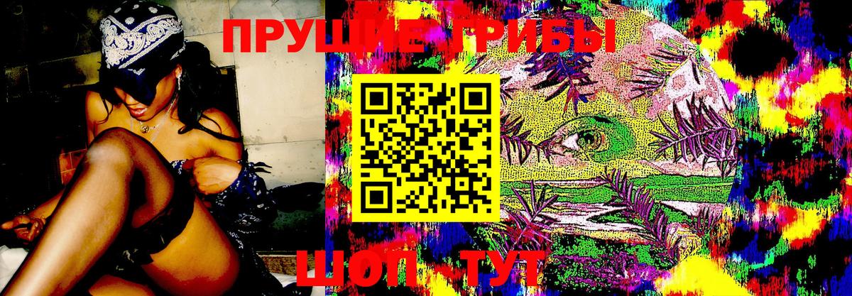 Черняховск  Галлюциногенные грибы Cubensis  Псилоцибиновые грибы Cubensis  Вход с VPN 